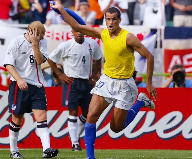 新界以及郊 新界以及郊