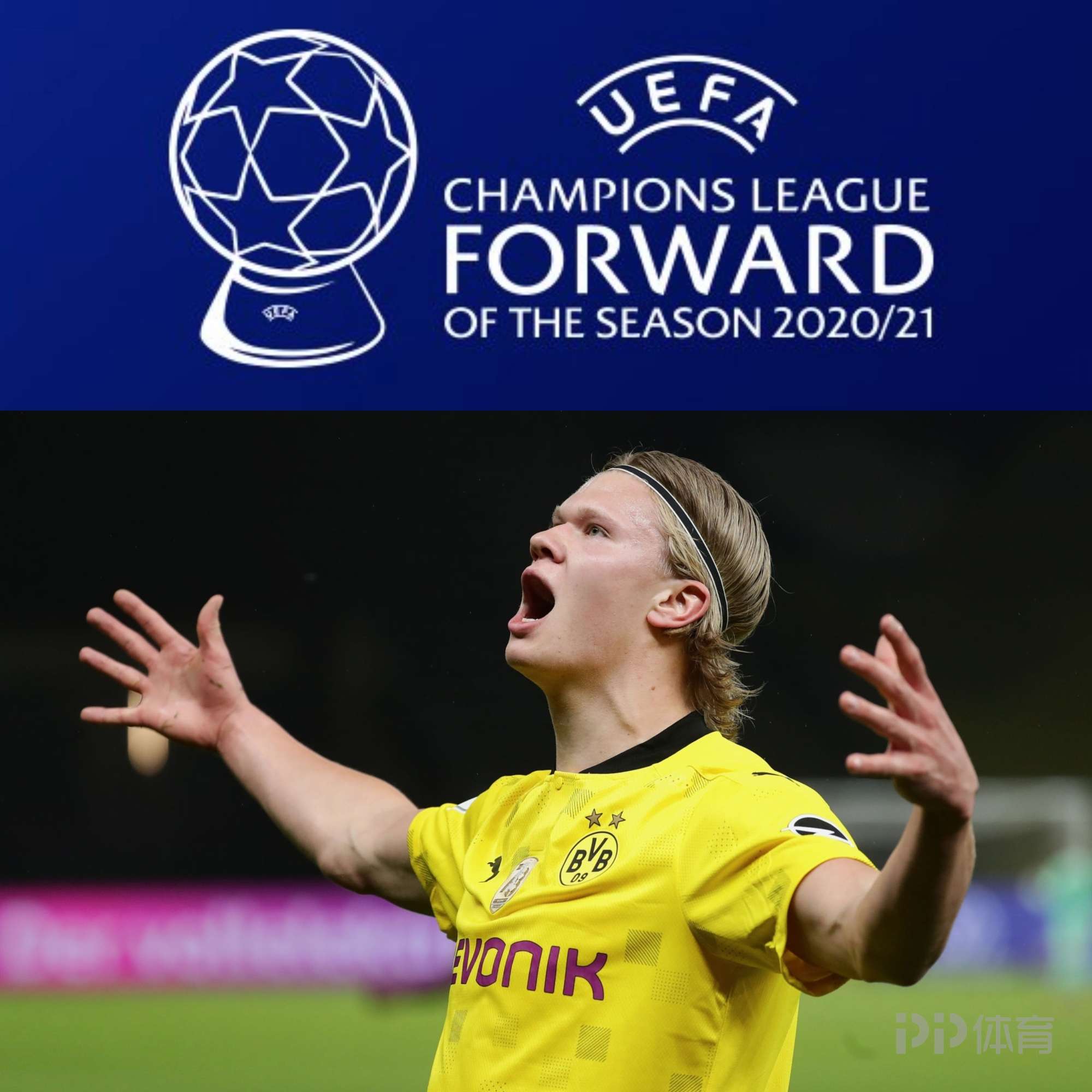 也能攻击身 也能攻击身